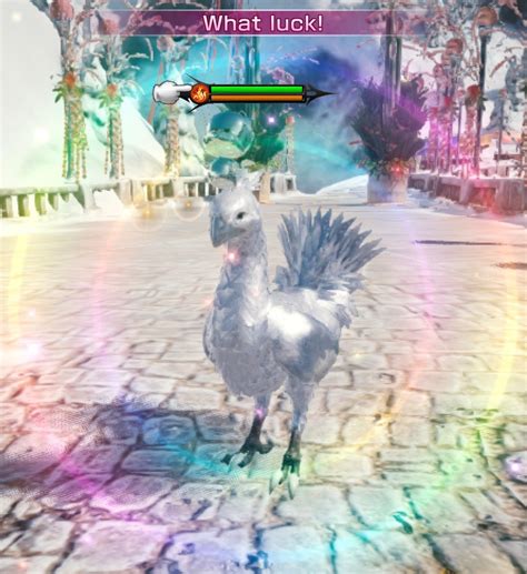 where to use silver chocobo feathers.